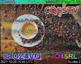 SSTV333